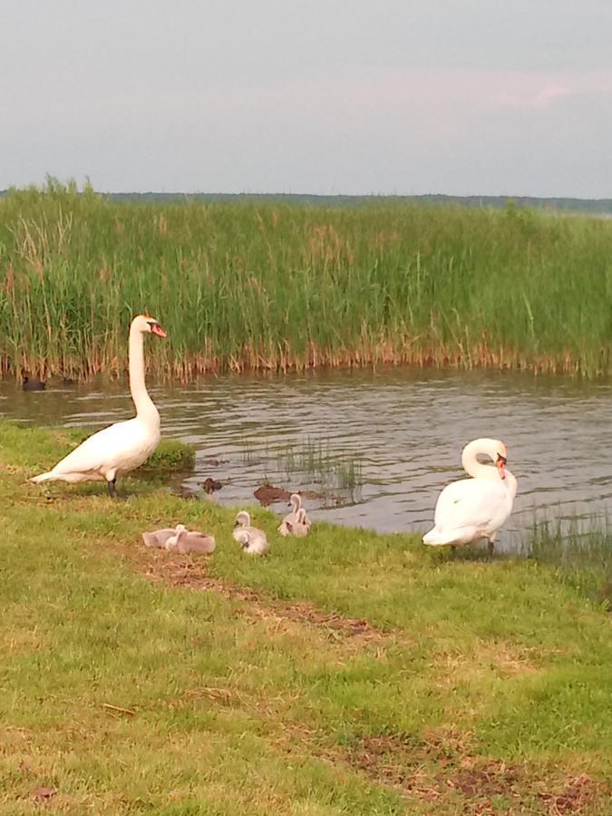 Pulemchanka Pulemets Buitenkant foto