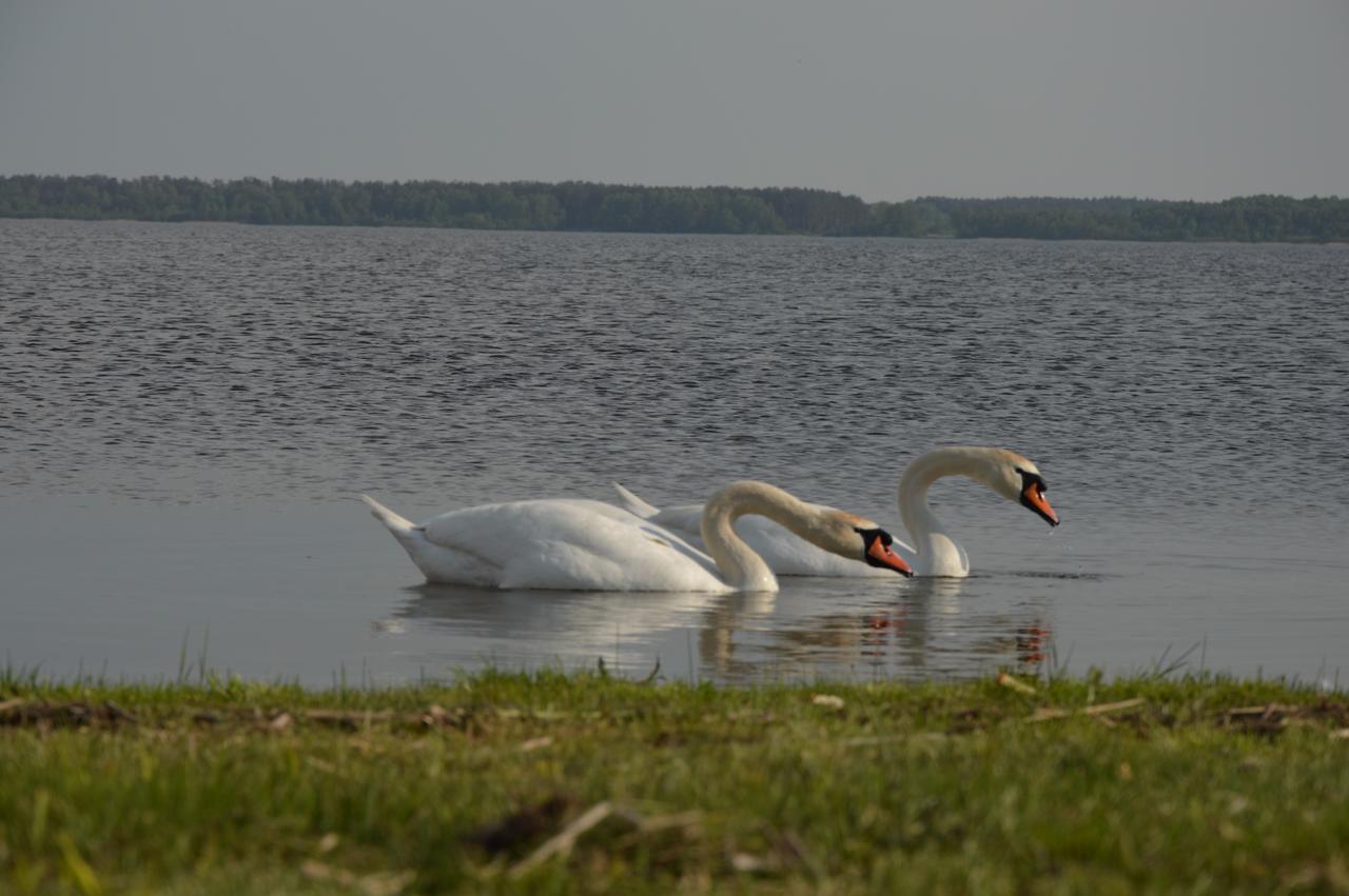 Pulemchanka Pulemets Buitenkant foto