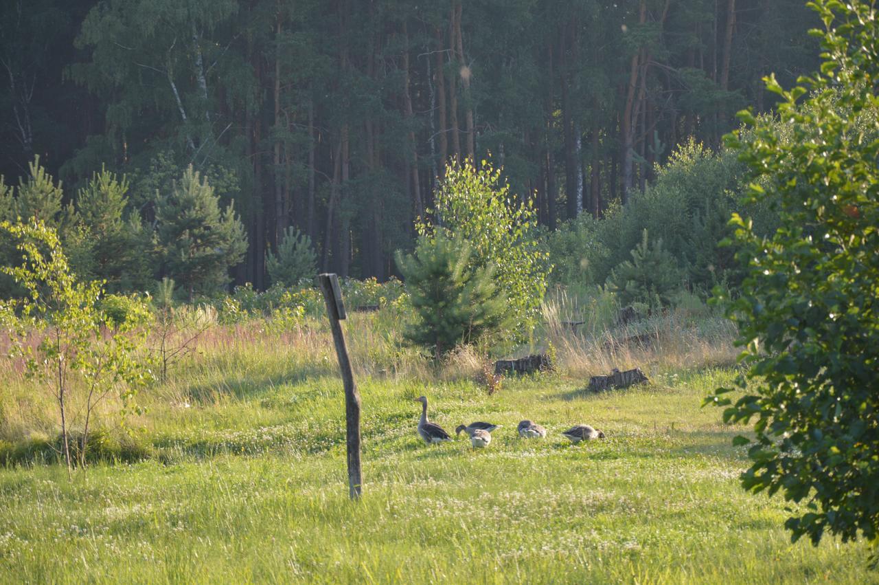 Pulemchanka Pulemets Buitenkant foto